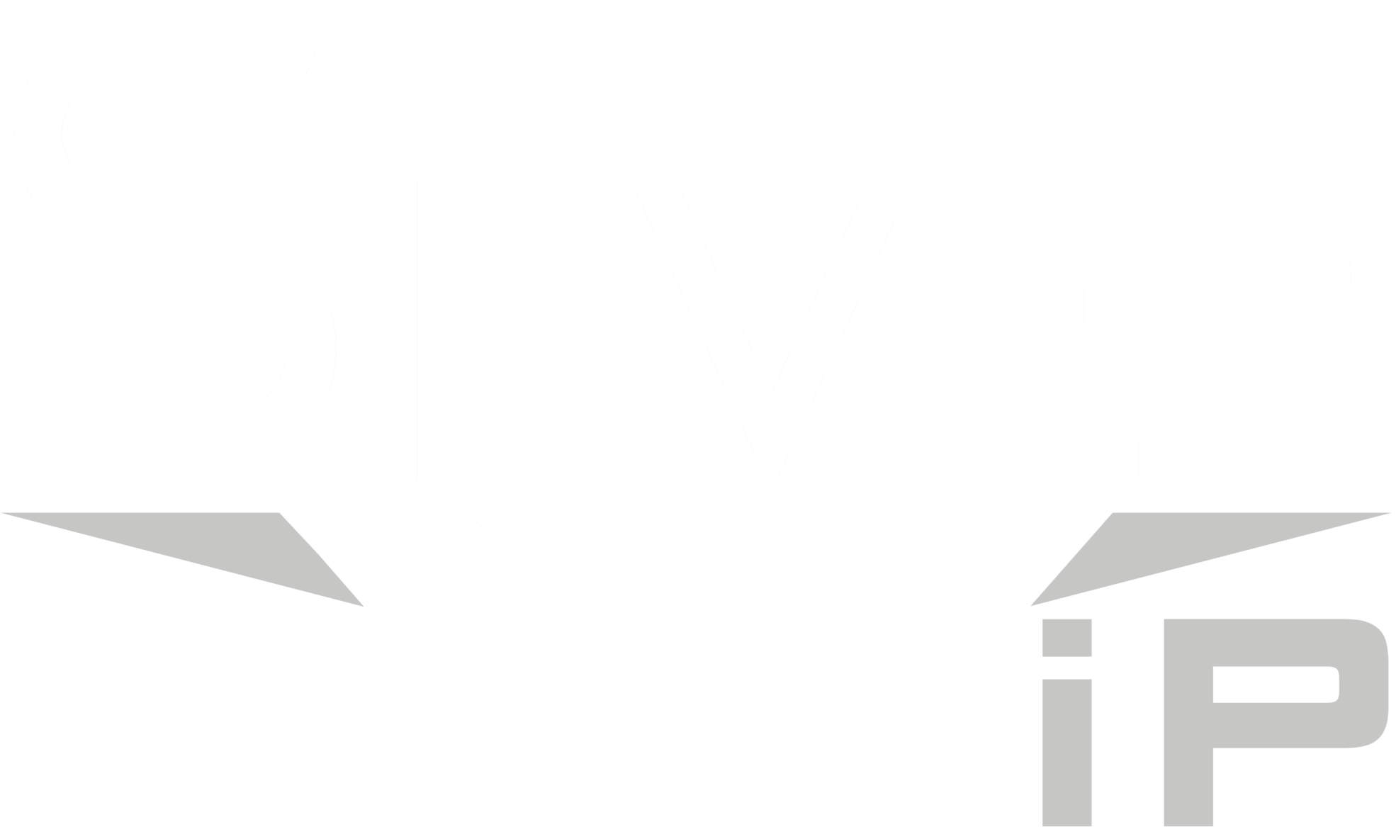Silver VIP Dizayn